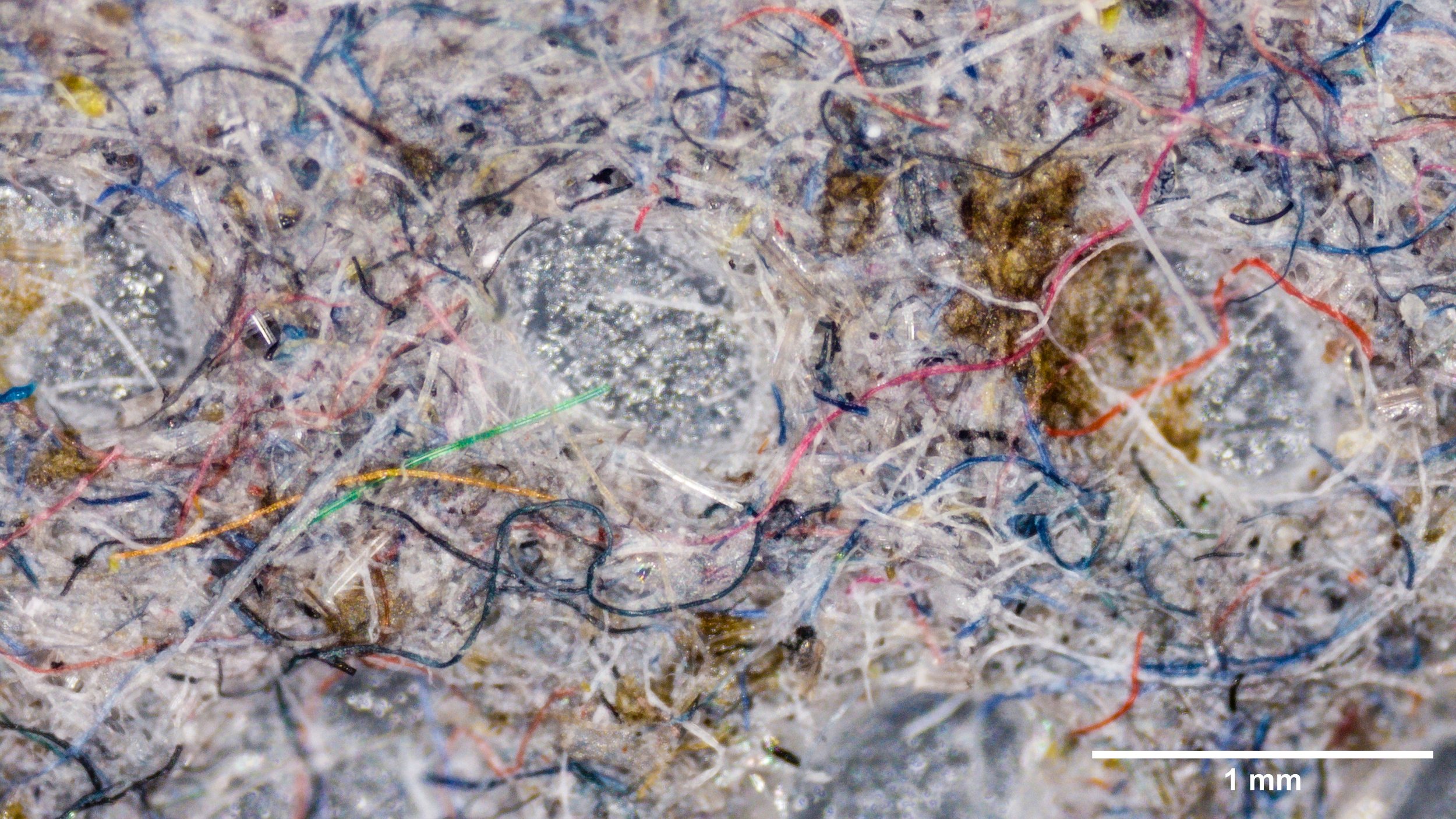 Infiltrating Our Bodies