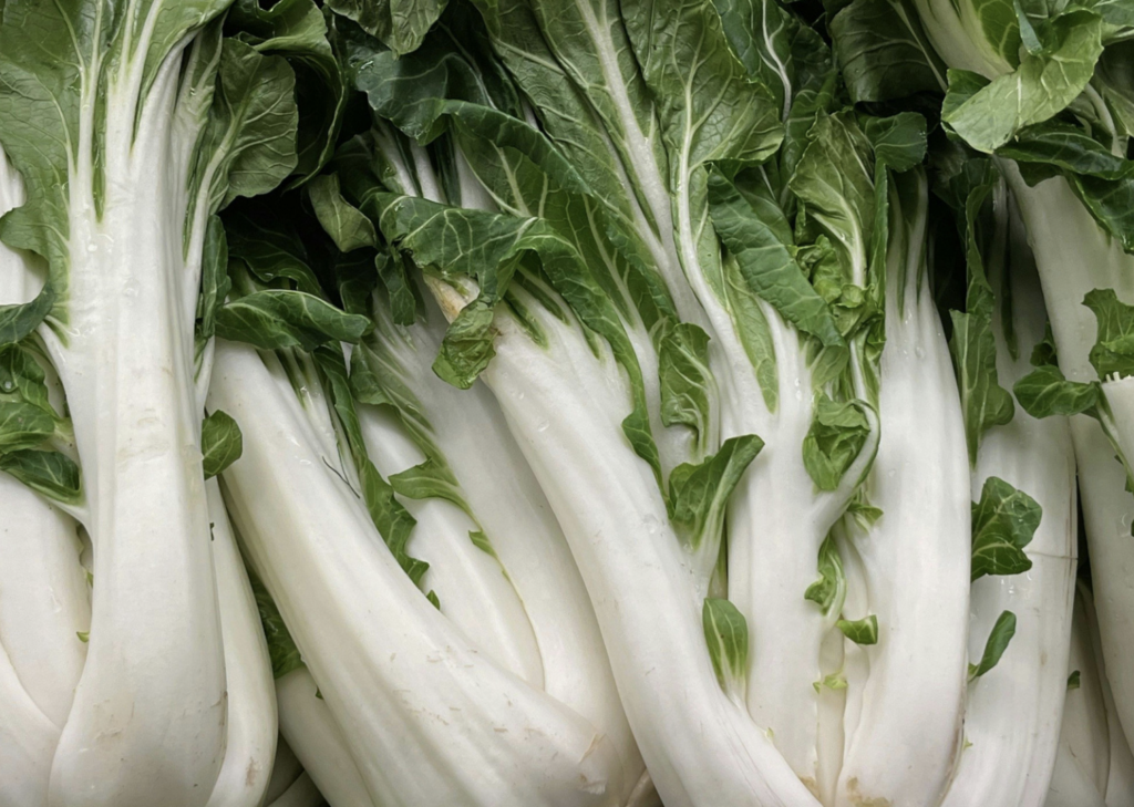 Bok Choy