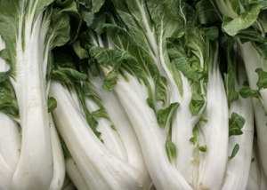 Bok Choy