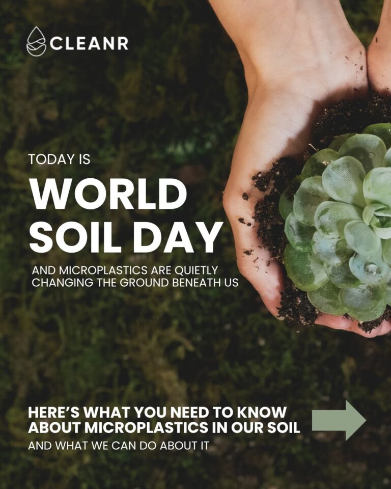 Instagram post from cleanr.life. This post is in position 1.